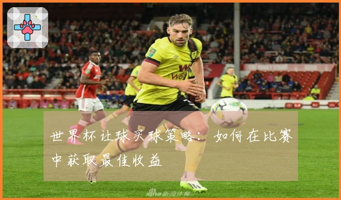 世界杯让球买球策略：如何在比赛中获取最佳收益