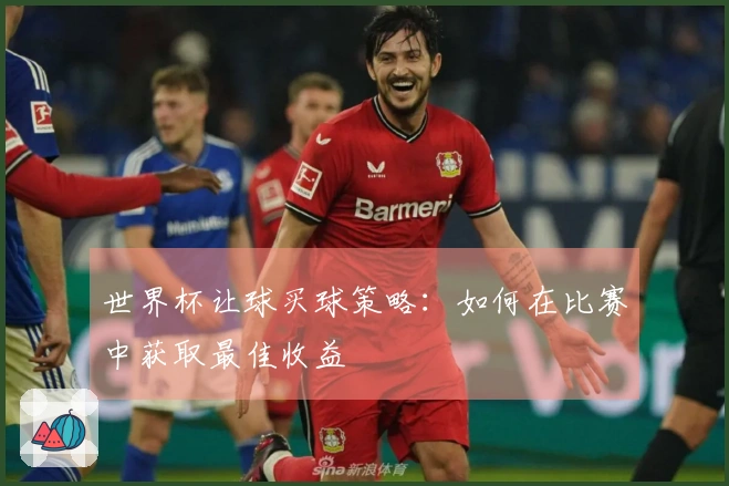 世界杯让球买球策略：如何在比赛中获取最佳收益