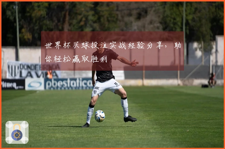 世界杯买球投注实战经验分享，助你轻松赢取胜利