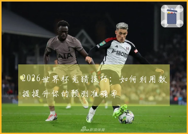 2026世界杯竞猜技巧：如何利用数据提升你的预测准确率